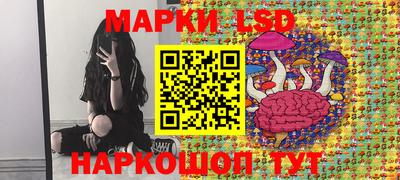 индика Будённовск