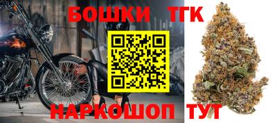 индика Будённовск