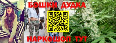 индика Будённовск