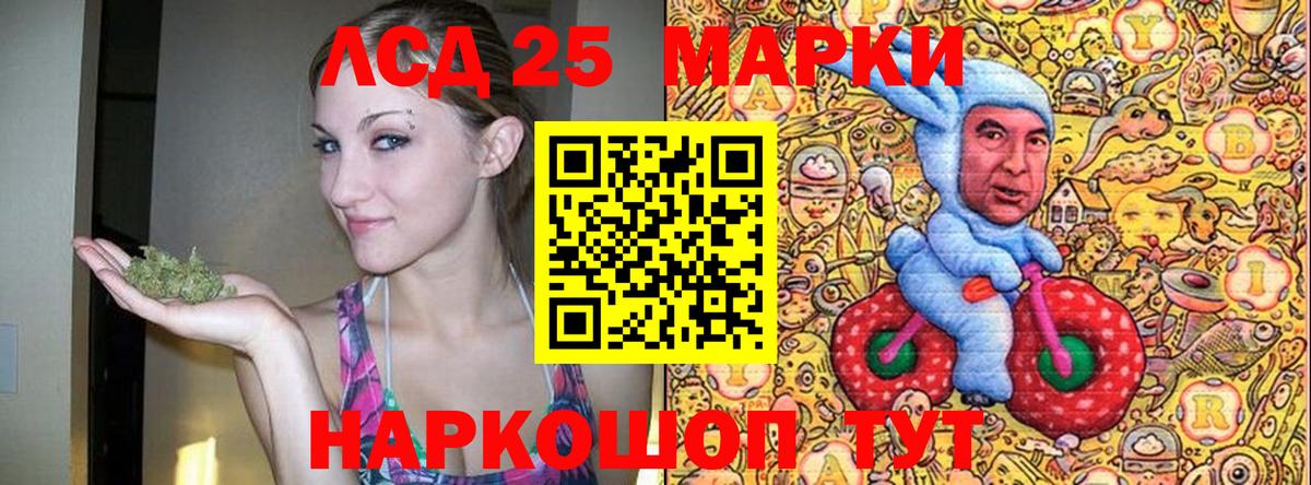 Наркотические марки 1500мкг  Наркотические марки 1500мкг  Вход с VPN  Реутов 