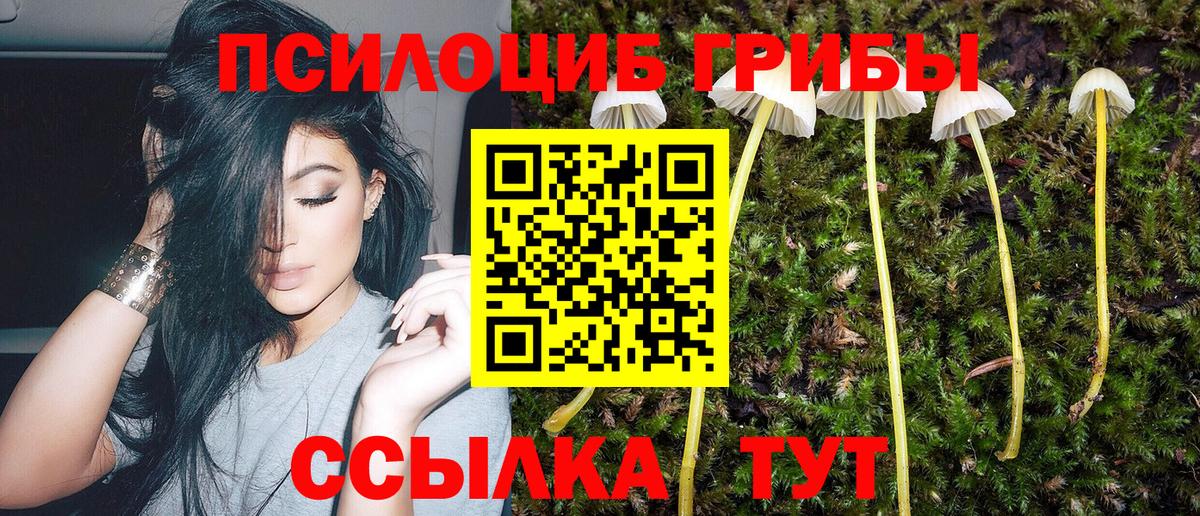 Псилоцибиновые грибы MAGIC MUSHROOMS Реутов